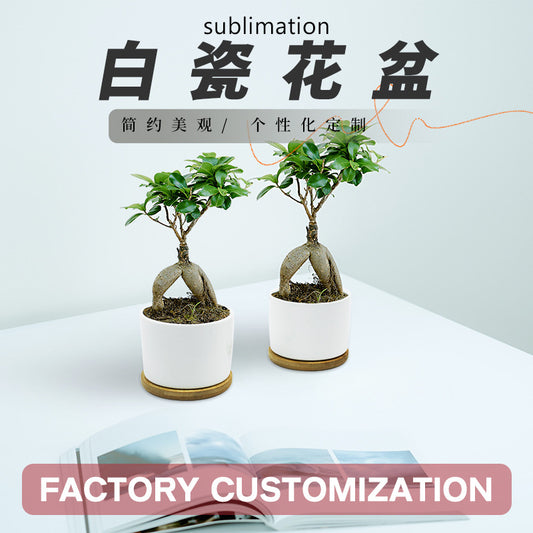 Sublimation blank Ceramic Plant Pot include bamoo base