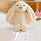 Sublimation Blank Easter Bunny Plush with Removable T-Shirt, 12" Long Ear Rabbit Stuffed Animal, DIY Heat Transfer Bunny Toy for Easter Gifts