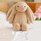 Sublimation Blank Easter Bunny Plush with Removable T-Shirt, 12" Long Ear Rabbit Stuffed Animal, DIY Heat Transfer Bunny Toy for Easter Gifts