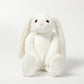 Sublimation Blank Plush Easter Bunny - 30cm Printable Belly Doll (5 Colors)